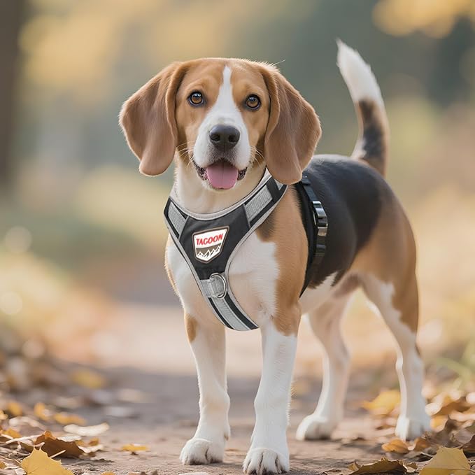 Dog Vest Harness, No Pull Vest with Handle, Training for Walking, Running, Dog Harness Medium Size Fits Neck 18-21 Inch and Chest 20-26 Inch, Black Adjustable Service Dog Vest with 2 Pocket, M