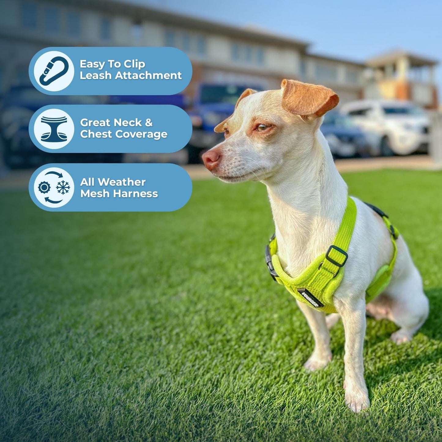 Best Pet Supplies Voyager Step-in Air Harness - All Weather Mesh, Reflective, No Pull Harness for Dogs, Cats - Secure with Hook & Loop Fastener, Buckle, Double D-Rings - Lime Green, XL