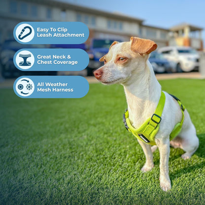 Best Pet Supplies Voyager Step-in Air Harness - All Weather Mesh, Reflective, No Pull Harness for Dogs, Cats - Secure with Hook & Loop Fastener, Buckle, Double D-Rings - Lime Green, S