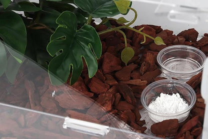 100PCS 0.5oz Crested Gecko Food Dish Cups