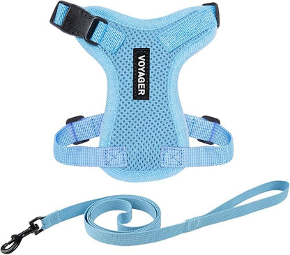 Voyager Step-in Lock Adjustable Cat Harness w. Cat Leash Combo Set with Neoprene Handle 5ft - Supports Small, Medium and Large Breed Cats by Best Pet Supplies - Baby Blue, XS