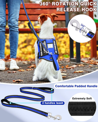 Service Dog Vest Harness and Leash Set+10 Patches for Puppy Small Dogs,Do Not Pet Emotional Support Dog Vest with 2 Soft Padded Handle for Everyday/Training (Blue XS)