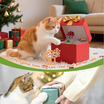 3 Pack Realistic Bug Catnip Cat Toys,Bell Sould Kitten Bite Interactive Kicker Toys for Cat's Natural Hunting