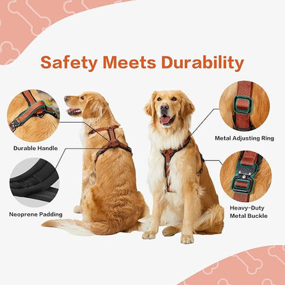 PawsPassion Dog Harness for Medium Dogs, No Pull Dog Harness Easy Walk with Metal Hardware, Ergonomic Y-Shaped Design, Soft Padding, Padded Handle, Durable High-Tensile Nylon (Canyon Red, M)