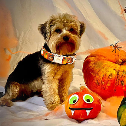 Elegant little tail Halloween Dog Collar, Pumpkin Print Pet Collar Fall Orange Puppy Cotton Collars Female or Male Dog Collars for Small Medium Large Dogs
