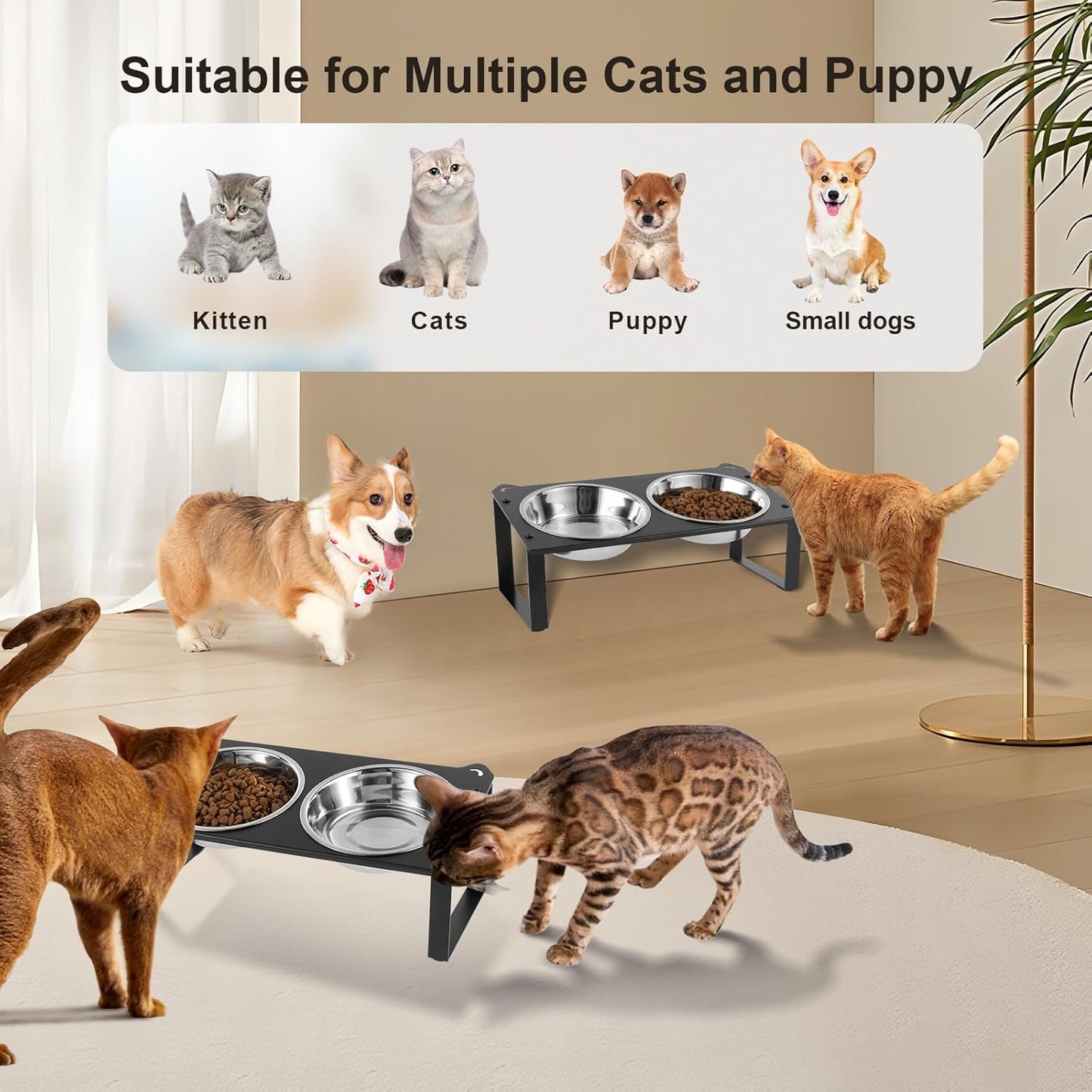 2 Set Elevated Cat Food Water Bowls, 4 Stainless Steel Bowls for Indoor Pet with Cute Metal Stand, 10° Tilted Anti-Vomiting Wide Shallow Raised Cat Dishes Whisker Friendly for Multiple Kitten,Puppy