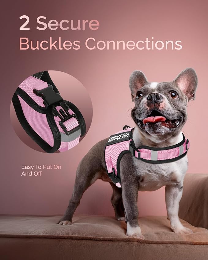 FAYOGOO Service Dog Vest for Small Dogs - Air Mesh Breathble Emotional Support Animal Vest with Velcro Patches - Puppy Harness and Leash Set Adjustable Neck and Chest