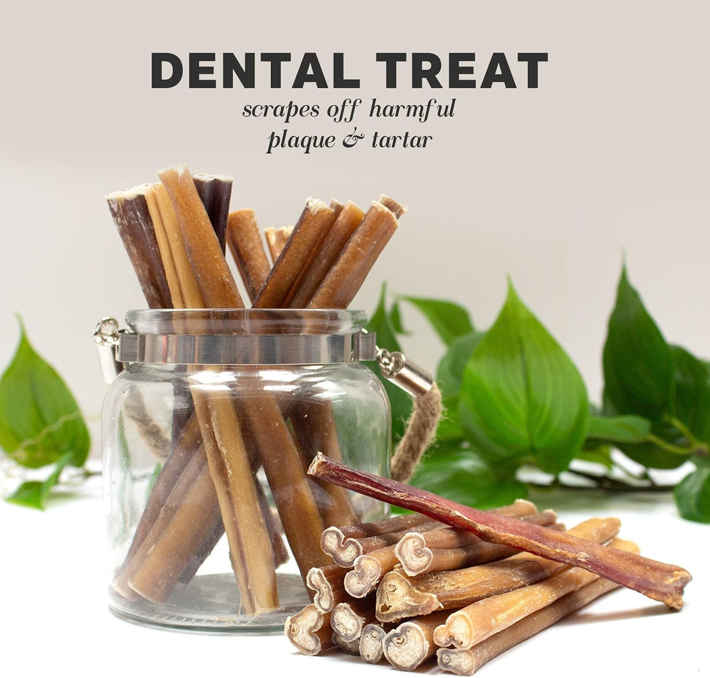 Downtown Pet Supply Bully Sticks for Dogs - Natural 6 Inch Beef Chews, Odor-Free & Rawhide-Free, Long Lasting Dog Treats for Aggressive Chewers - Healthy, Safe & Delicious Chews Dogs Love (100 Pack)