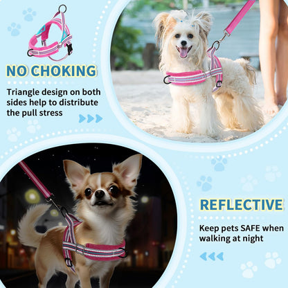 Lukovee No Pull Dog Harness and Leash Set, Soft Padded Small Dog Harness, Neck & Chest Adjustable Reflective Vest Puppy Harness with 4ft Lightweight Anti-Twist Dog Leash for Small Dogs (M, Fuschia)