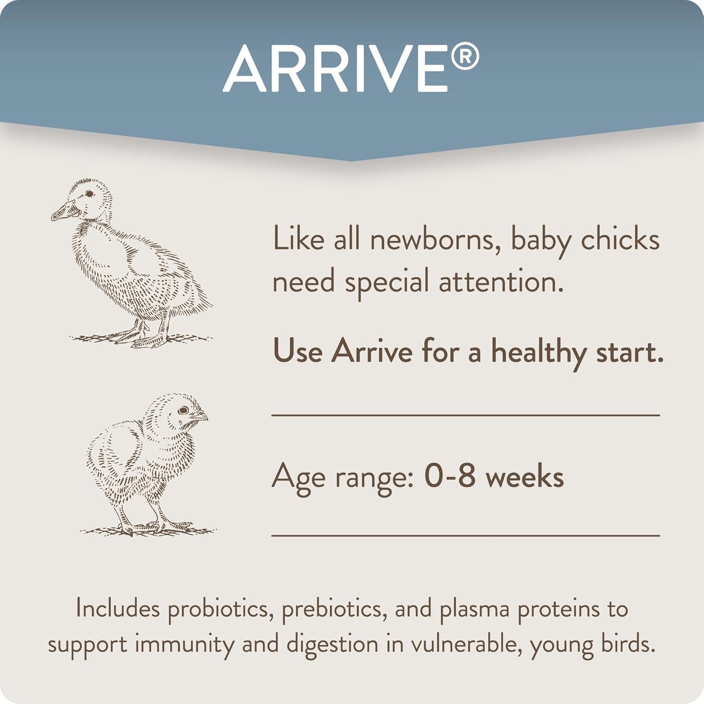 Arrive, Daily Probiotic & Prebiotic Poultry Supplement for Young Chickens 0-8 Weeks Old, 8 oz