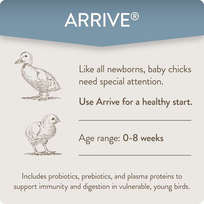 Arrive, Daily Probiotic & Prebiotic Poultry Supplement for Young Chickens 0-8 Weeks Old, 8 oz
