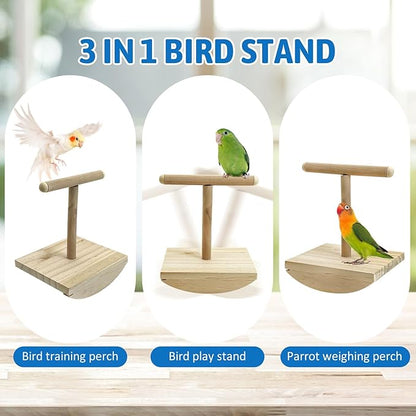 kathson Bird Training Stand, Parakeet Playground Bird Perch Platform Portable Tabletop Parrot Perch T Shaped Cockatiel Play Stand for Parakeet Conure Lovebird Cockatiel