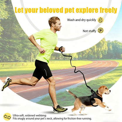 Dog Harness Small Sized and Leash Set, Dog Harness with Leash Set, Comfortable Air Mesh Dog Vest Harness with Reflective Strip, Reflective for Safe Easy Walking Dogs, Cats, Black S