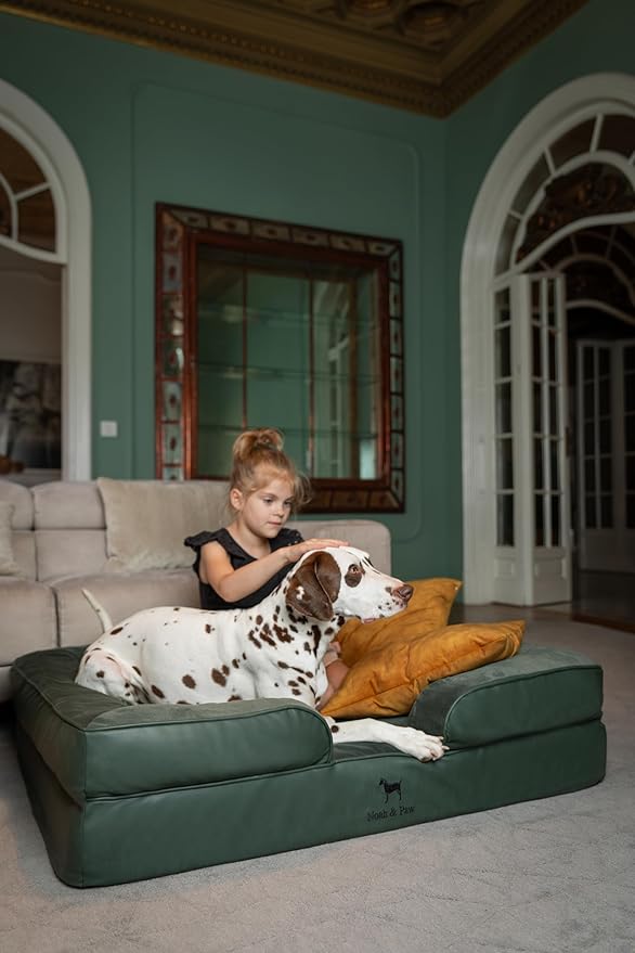 NOAH & PAW XL Dog Bed, 45x35x11 Inch, Orthopedic Large Dog Beds, Eggshell Memory Foam Infused with Cooling Gel, Inner Cover, Waterproof, Machine Washable (Faux Leather Sofa Collection)