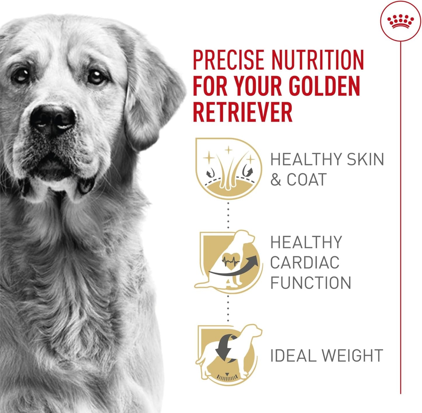 ROYAL CANIN Breed Health Nutrition Golden Retriever Adult Dry Dog Food 17 lbs.