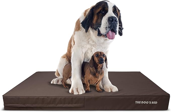 The Dog’s Bed Orthopedic Memory Foam Dog Bed, XXXL Grey/Black, Pain Relief for Arthritis, Hip & Elbow Dysplasia, Post Surgery, Lameness, Supportive, Calming, Waterproof Washable Cover