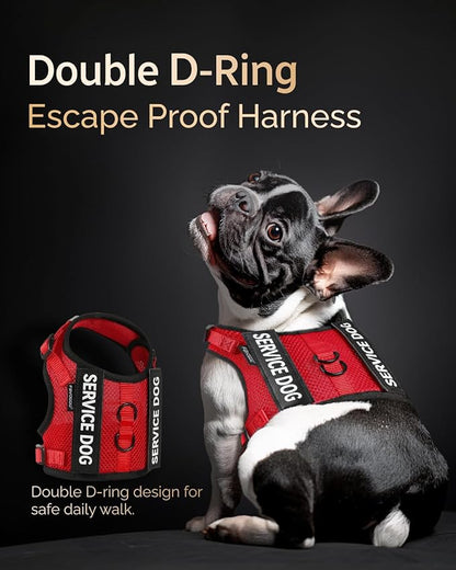 FAYOGOO Service Dog Vest for Small Dogs - Air Mesh Breathble Emotional Support Animal Vest with DIY Patches - Puppy Harness and Leash Set Adjustable Neck and Chest