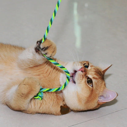 Interactive Cat Toys, 3 Pcs Cat Wand Toys for Indoor Kitten with Colorful Hemp Rope and Small Bell, Kitty Teaser String Toy for Indoor Cats to Chase and Exercise