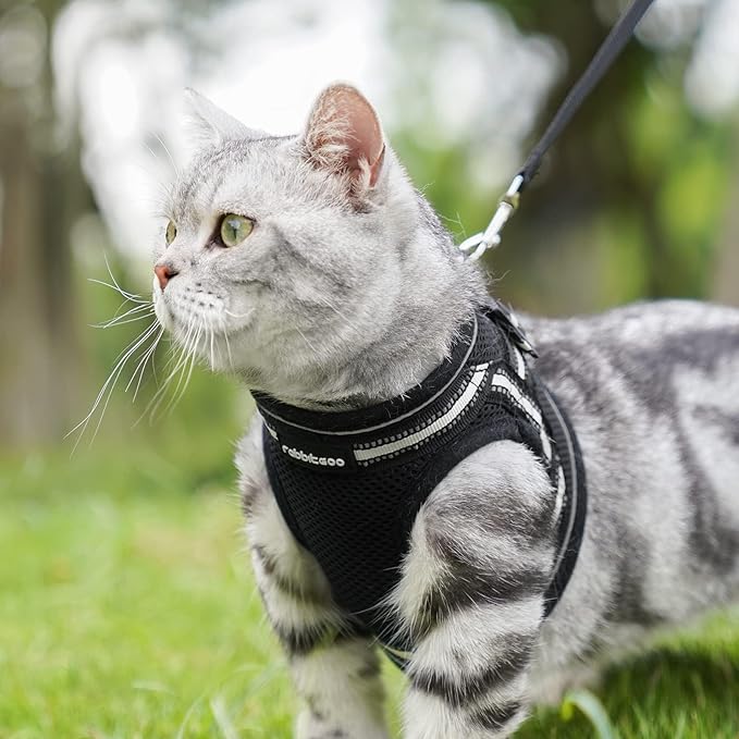rabbitgoo Cat Harness and Leash Set for Walking Escape Proof, Adjustable Soft Kittens Vest with Reflective Strip for Cats, Comfortable Outdoor Vest, Black, M
