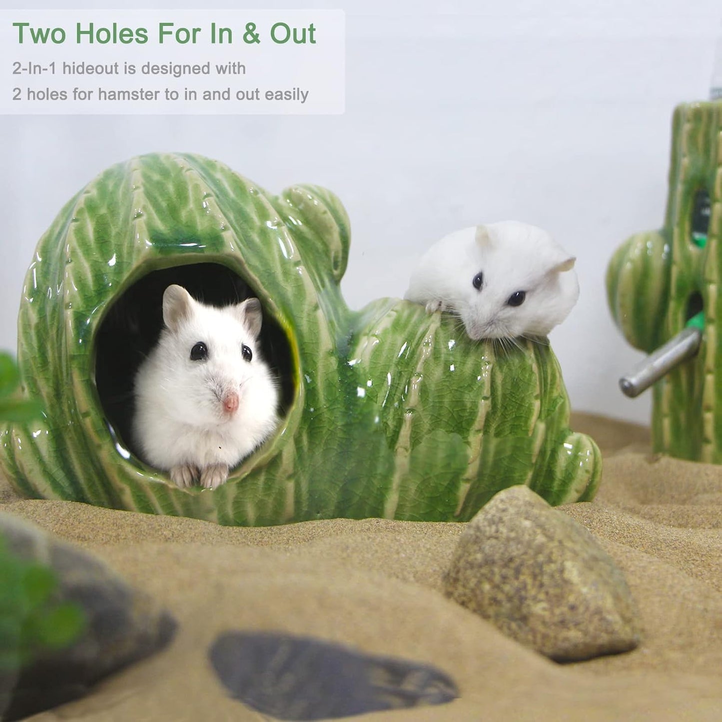 Ceramic Hamster Hideout, Dwarf Hamster House with Double Doors Syrian Hamster Hut Hideout Habitat Decor, Anti Bite Hideaway House Cave for Mice Gerbil (Large, Green)