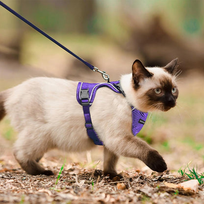 Cat Harness and Leash Set, Soft and Breathable Vest with Reflective Strip, Anti Escape Adjustable Cat Harness, Easy to Wear for Cats Walking and Traveling, Purple, M