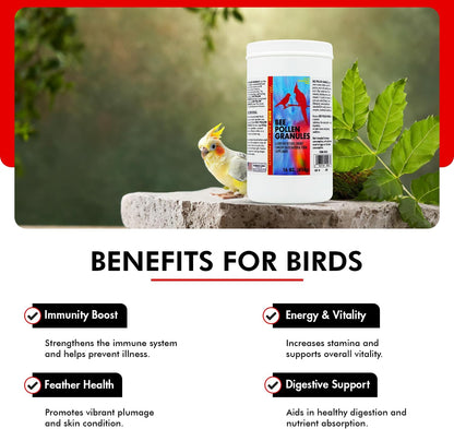 Morning Bird Bee Pollen Granules 16 Oz – Naturally Immune Support & Protein Powder for Birds – Boosts Strength, Feather Health & Energy Supplements – Easy to Mix with Food for All Bird Types