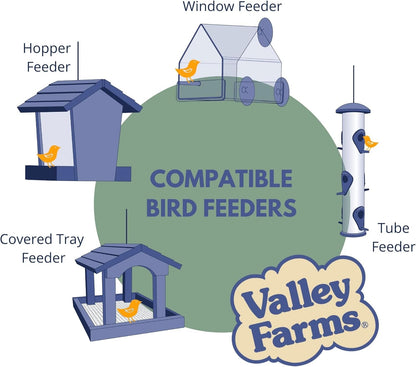 Valley Farms Super Deluxe Wild Bird Food 4 LBS (Pack of 2) for Outside feeders - 0% fillers - w/Sunflower Seed -Peanut kernels -Feed More Birds w/Less Seed