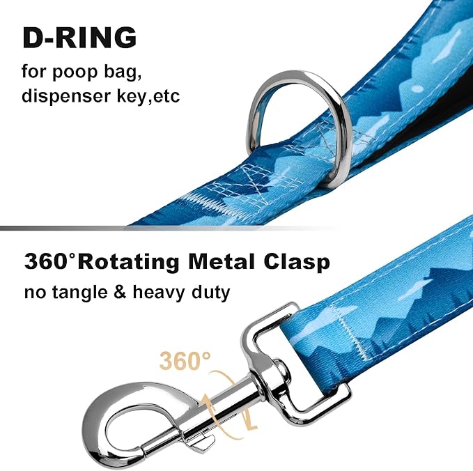 5ft Dog Leash with Two Padded Handles, Heavy Duty Strong Nylon Pet Leash with Soft Neoprene Handle for Small Medium Large Dogs, Blue Sunset