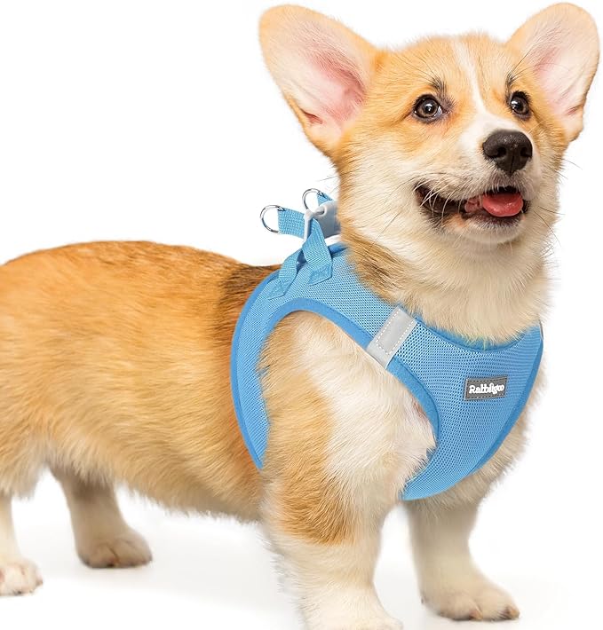 rabbitgoo Small Dog Harness, Step-in Soft Mesh Puppy Vest with Safety Buckle, Breathable Reflective Pet Harness for Small Medium Dogs, Blue L
