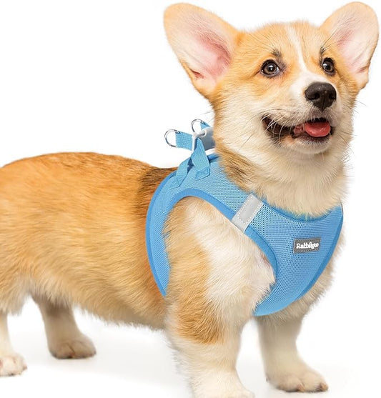 rabbitgoo Small Dog Harness, Step-in Soft Mesh Puppy Vest with Safety Buckle, Breathable Reflective Pet Harness for Small Medium Dogs, Blue L
