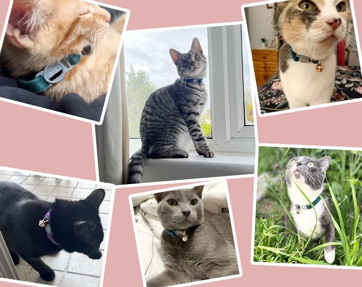 Personalized Breakaway Cat Collar with Safety Buckle - Customizable Name and Phone Number