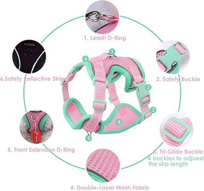 Cat Harness and Leash Set for Walking – Escape-Proof Reflective Vest for Cats and Small Dogs, Adjustable Soft Air Mesh with Pressure-Reducing Design, 4.92ft (Black & Rose, L)