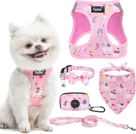 PUPTECK Adjustable Dog Harness Collar and Leash Set, Step in No Pull Pet Harness for Small Medium Dogs Puppy Cats Outdoor Walking, Soft Mesh Padded Reflective Vest Harnesses, Light Pink Alpaca, XXS