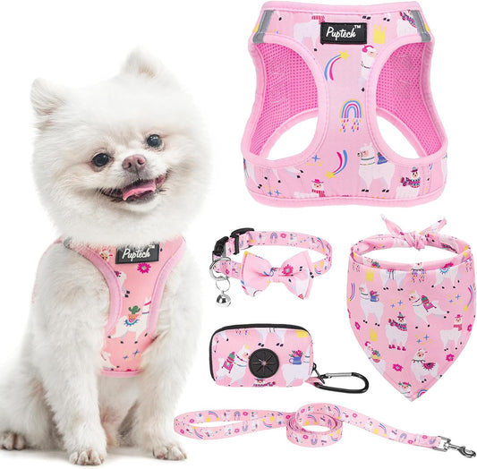 PUPTECK Adjustable Dog Harness Collar and Leash Set, Step in No Pull Pet Harness for Small Medium Dogs Puppy Cats Outdoor Walking, Soft Mesh Padded Reflective Vest Harnesses, Light Pink Alpaca, S