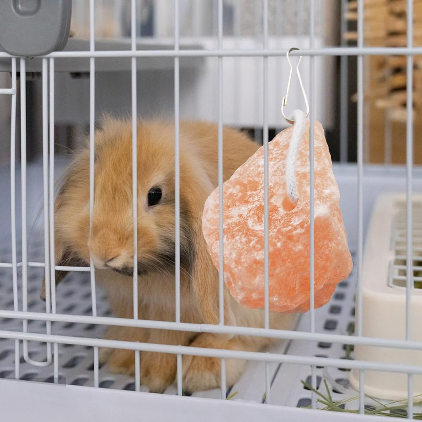 PINVNBY Salt Blocks for Rabbits,4 Pieces Himalayan Small Pets Lick Salt Block Natural Mineral Salts with Hook Hanging Small Animals Chew Toys for Horses Bunny