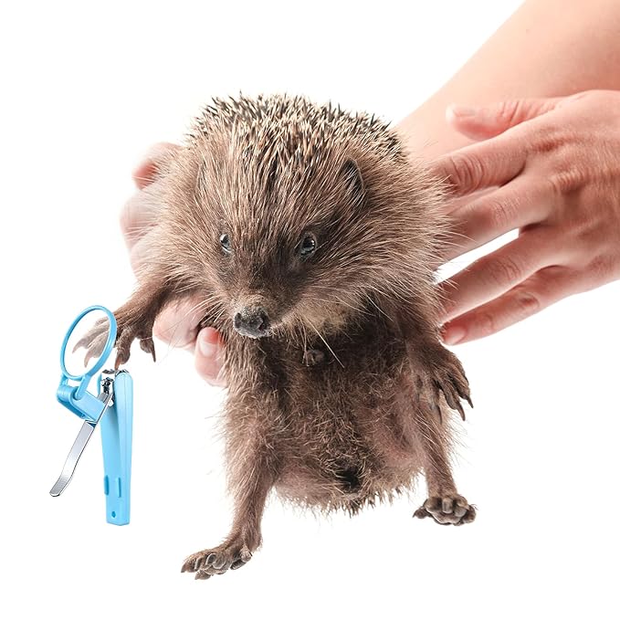 Mudder 3 Pcs Hedgehog Small Animal Grooming Kit Including 2 Bathing Brush and a Nail Toenail Clipper with Magnifier for Pet Hamster Hedgehog Guinea Pig Rabbit Cat Kitten