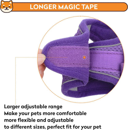 Dog Harness with Leash Set, No-Pull Step-in Reflective Pet Harness with 1 Leash Clips, Adjustable Soft Padded Easy Walk Dog Vest for Small Medium Large Dogs, Cats(Light Purple, Large)