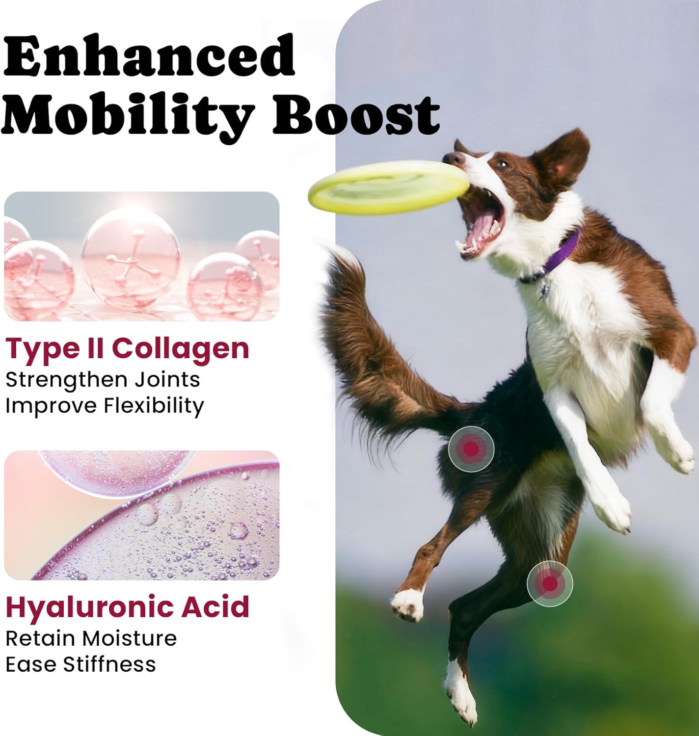 Glucosamine for Dogs Hip & Joint Support, Joint Supplement for Dogs with Chondroitin, Dog Joint Chews for Pain and Inflammation Relief for Large & Small Breeds - 60-Day Satisfaction Guarantee - 180 Ct