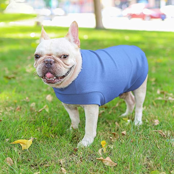 Small Dogs Fleece Dog Sweatshirt - Cold Weather Hoodies Spring Soft Vest Thickening Warm Cat Sweater Puppy Clothes Sweater Winter Sweatshirt Pet Pajamas for Small Dog Cat Puppy (Medium, Sky Blue)