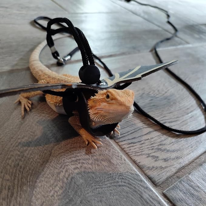 CoguZed Bearded Dragon Leash and Harness Set, Adjustable Lizard Harness, Soft Leather Reptile Costume, Cool Dragon Wing Outfits for Bearded Dragon Lizards(S,M,L, 3 Pack)