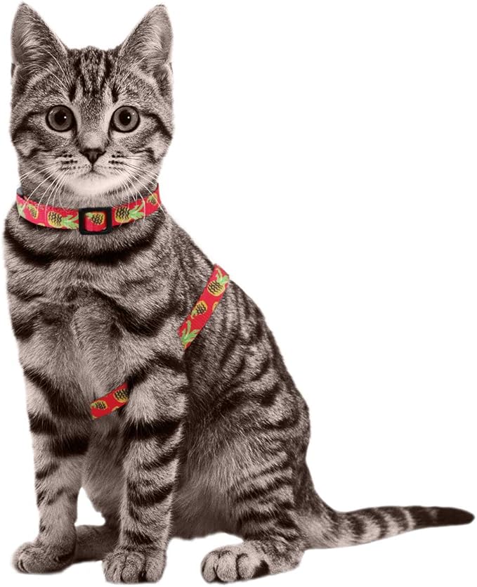 azuza Cat Harness and Leash Set, Escape Proof Adjustable Kitten Vest for Walking and Travel, Soft Lightweight Cat Carrier Harness for Small to Large Cats, Pineapple Design