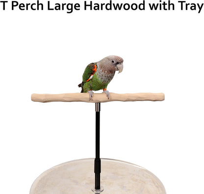 Parrot Training Perch Stand with Potty Tray (T Perch Hardwood, Large)