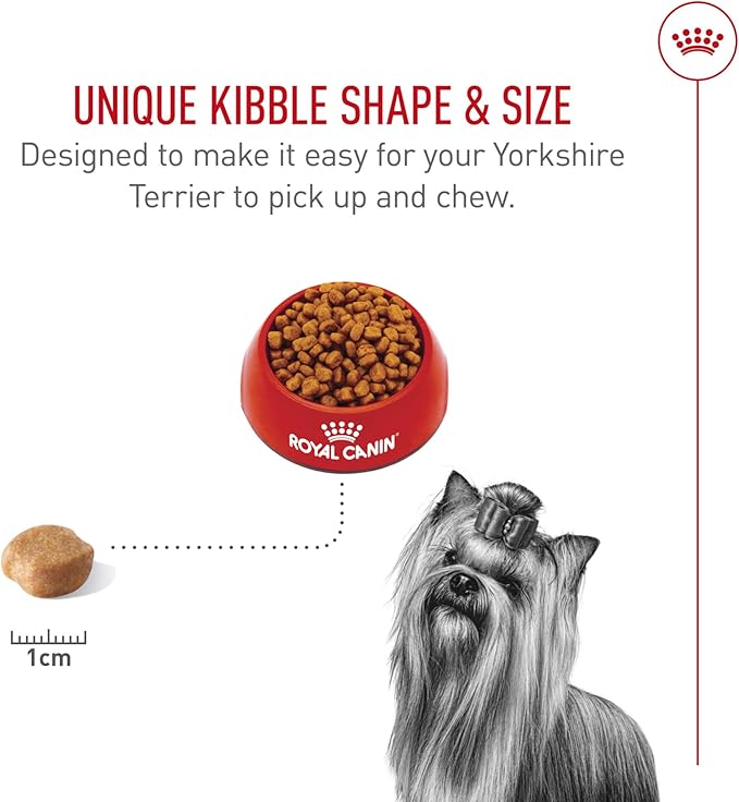 Royal Canin Breed Health Nutrition Yorkshire Terrier Adult Dry Dog Food, 10 lb Bag