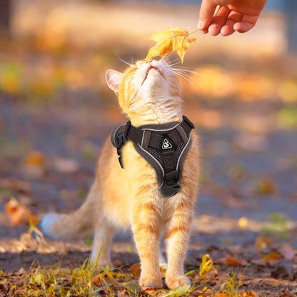 Cat Harness and Leash for Walking Soft Cat Harness Escape Proof, Adjustable Kitten Harness Cat Leash Reflective Strips Jacket, Breathable Cat Vest Harness Set for Kitten Easy to Wear Outdoor Walking