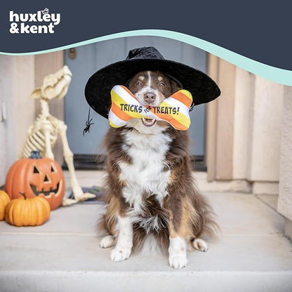 Huxley & Kent Halloween Funny Dog Toy w/Squeaker – Power Plush Squeaky Dog Toys for Small, Medium & Large Dogs – Soft Stuffed Animal for Indoor Play & Fetch - Tricks for Treats, One Size