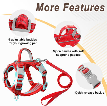 Cat Harness and Leash Set for Walking Escape Proof for Small Large cat Kitten Harness with ID tag Pocket (Red,XXS)