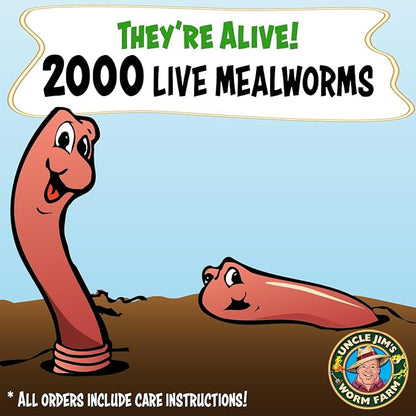 Uncle Jim's Worm Farm 2000 Count Mealworms for Reptiles and Chickens | Mealworms for Feeding Lizard, Gecko, Bearded Dragons, Chickens, Birds, and More | Suitable for Fishing Bait