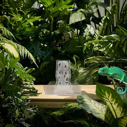 Bearded Dragon Feeder, Transparent Acrylic Chameleon Feeding Bowl, Reptile Terrarium & Aquarium Accessories, Climbable Bug Food Bowl for Lizard Frog Gecko