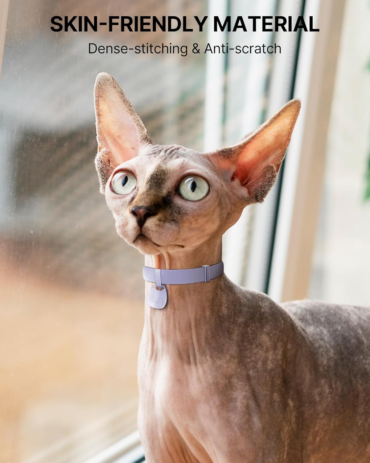 Cat Collar with QR Code Name Tag, Breakaway Kitten Collar for Boy & Girl Cats, Ultra Soft Elastic Adjustable Band, Safety Break Away Buckle, Comfortable & Secure Pet ID Collar (6"-12"), Purple