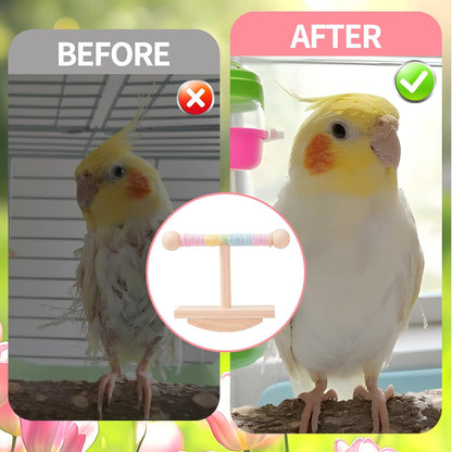 Parakeet Toys, Natural Wood Bird Perch Stand Training, Intelligence Puzzle Enrichment Toys for Parakeets,Wood Stand Toy for for Parakeets Budgies Conures Lovebirds Cockatiels (B, M)